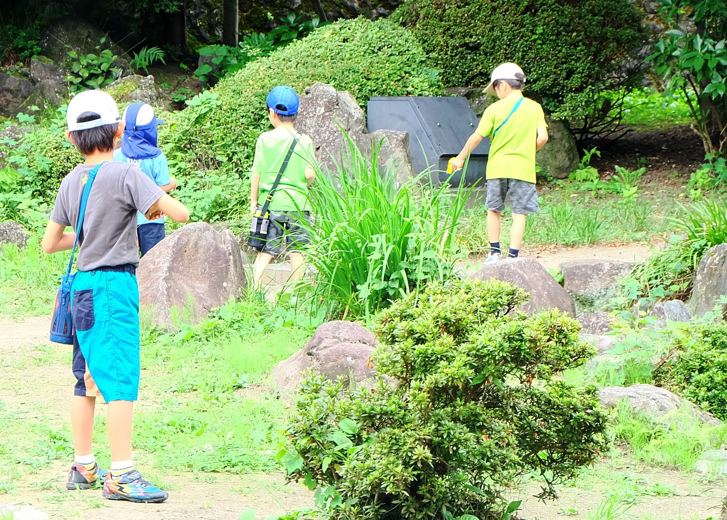 公園風景