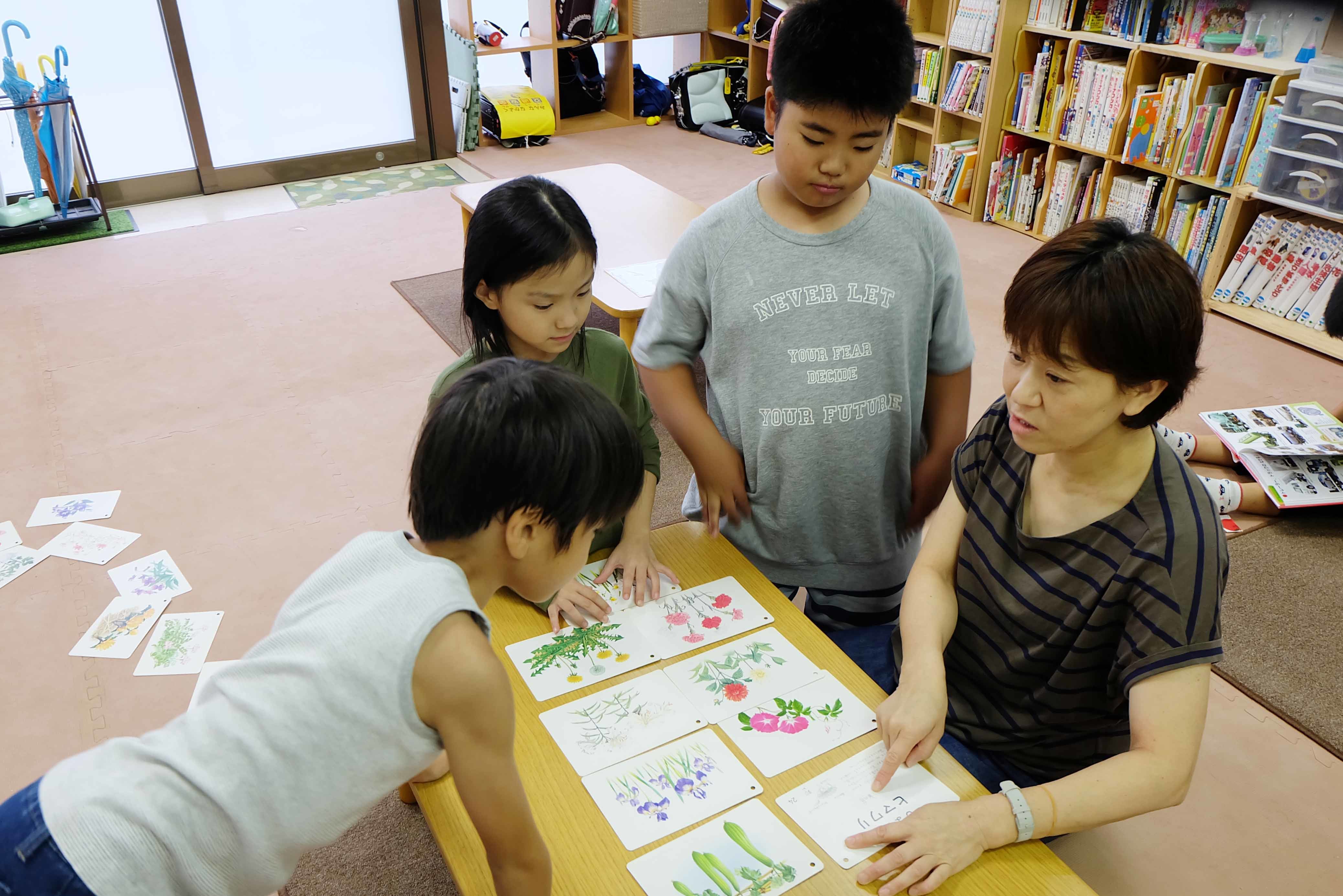 夏を集める