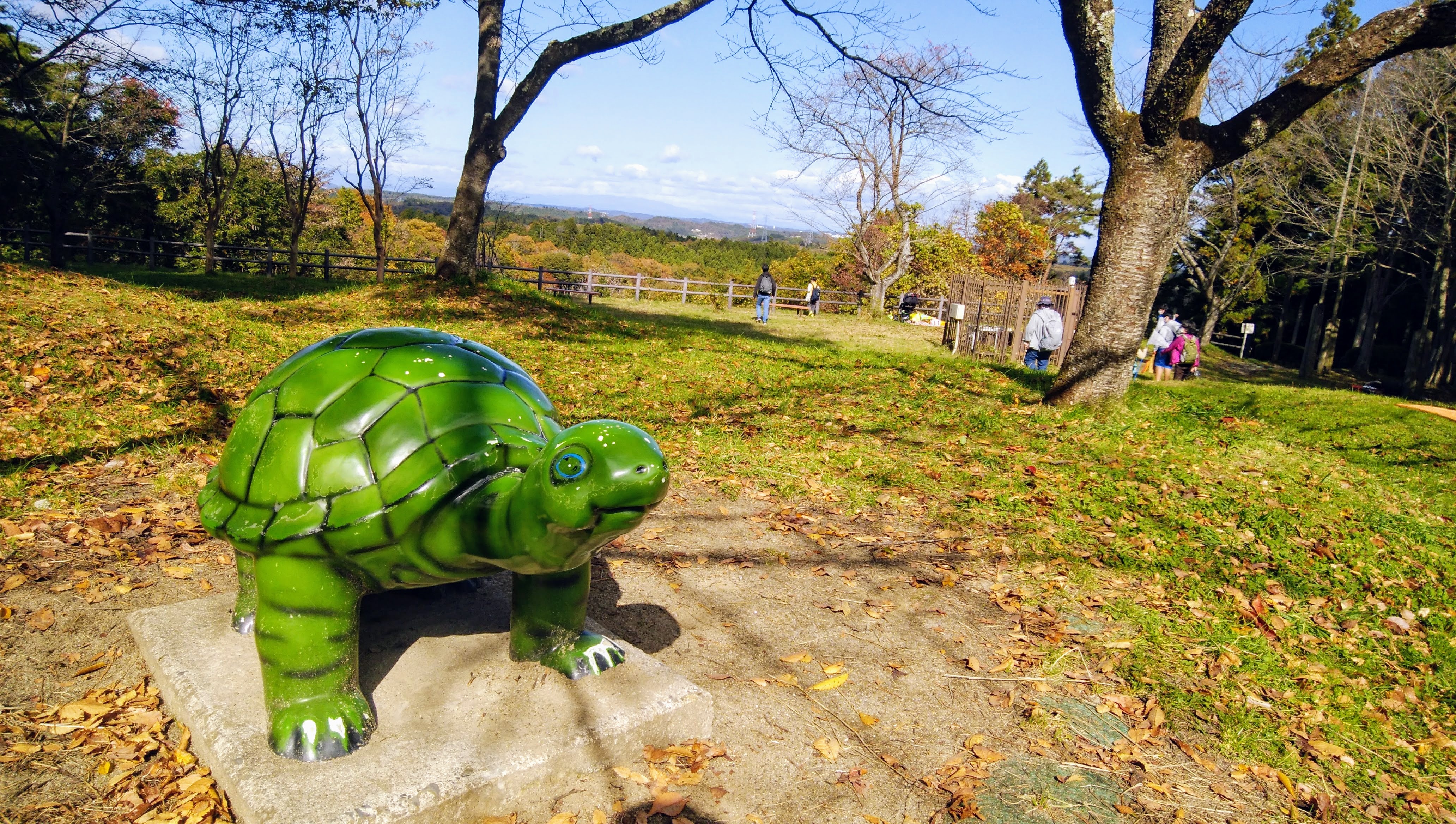 IMG_20211103_111211(2)