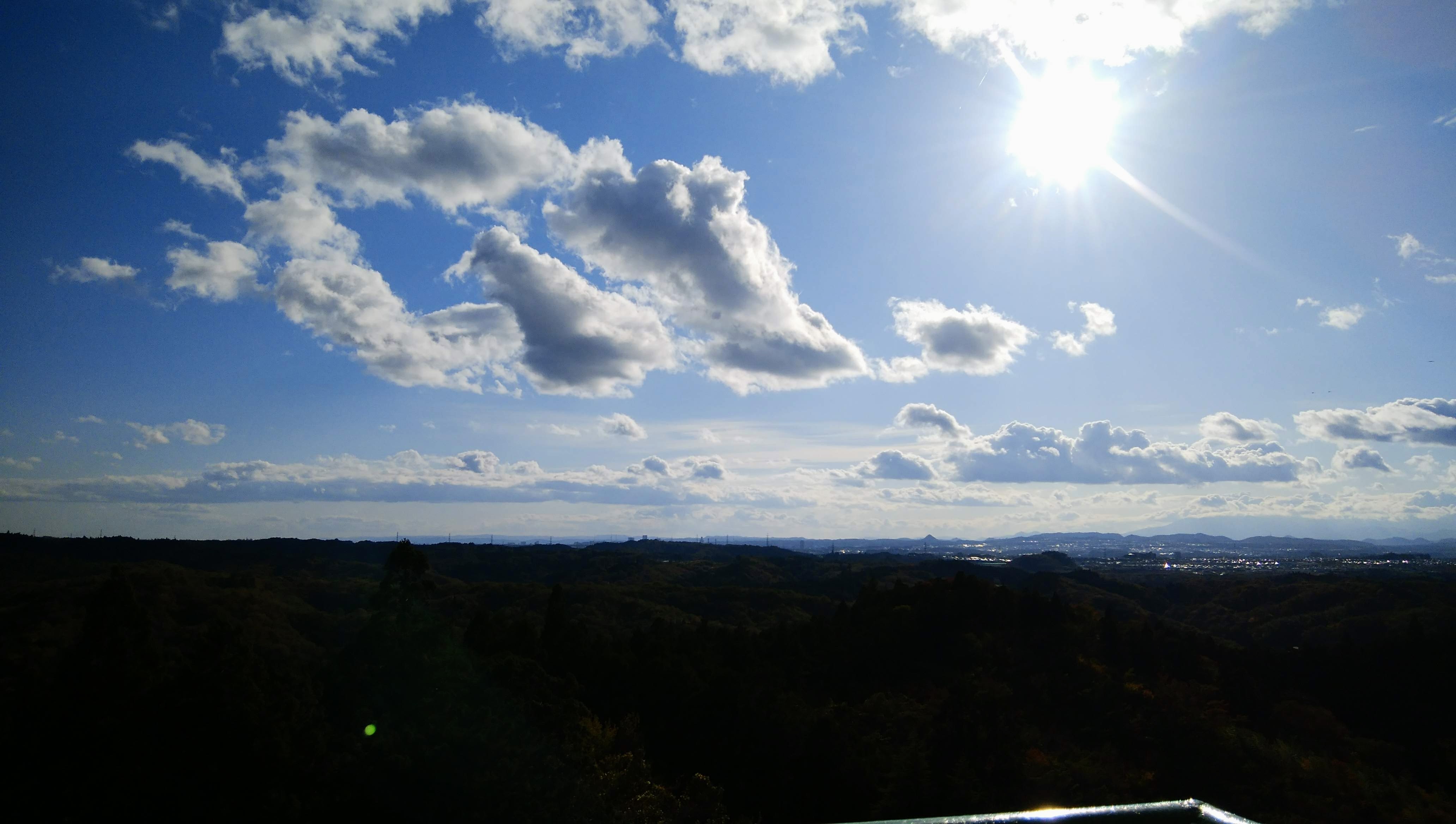 IMG_20211103_140853(2)